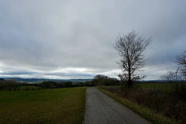 Grönt Eifel landskap fotograferat på en grå Januari dag. — Stockfoto