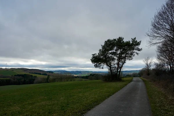 Πράσινο τοπίο Eifel φωτογραφήθηκε σε μια γκρίζα ημέρα του Ιανουαρίου. — Φωτογραφία Αρχείου