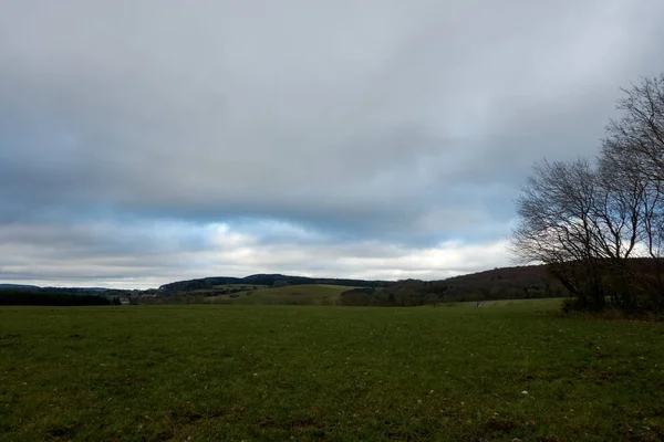 Grönt Eifel landskap fotograferat på en grå Januari dag. — Stockfoto