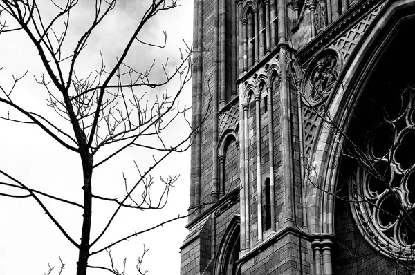 Truro Cathedral Cornwall England – stockfoto