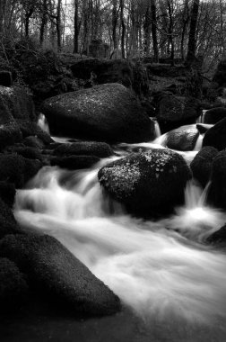 güzel bir siyah beyaz atış dokuma Cornish woodland bazı boulder aracılığıyla bir Stream.