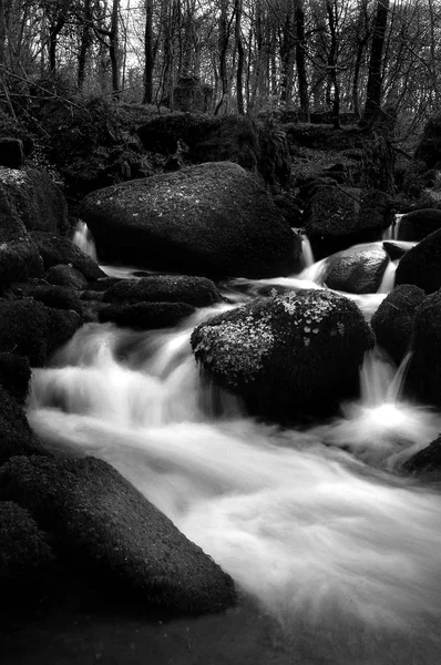 güzel bir siyah beyaz atış dokuma Cornish woodland bazı boulder aracılığıyla bir Stream.