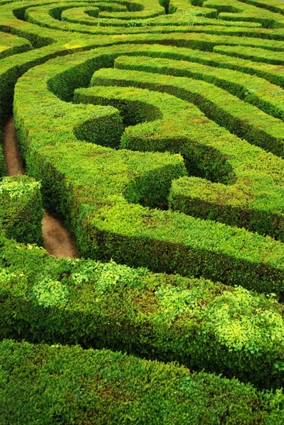 Bir büküm, giderek, kafa karıştırıcı telaşı labirent