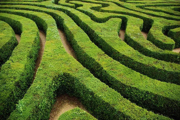 Bir büküm, giderek, kafa karıştırıcı telaşı labirent