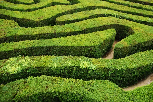 Bir büküm, giderek, kafa karıştırıcı telaşı labirent