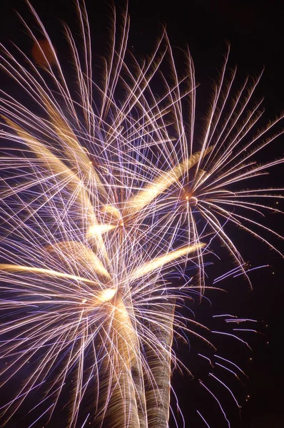 Bir grup gece gökyüzünde patlayan birkaç havai fişek