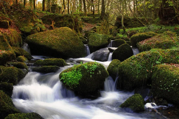 Довгою Витримкою Працює Потоку Kenniveil Лісах Труро Корнуолл Англія — стокове фото