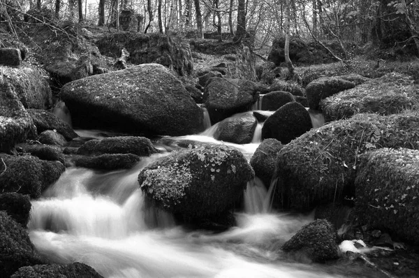 Long Exposure Running Stream Kenniveil Woods Black White Truro Cornwall — Stock Photo, Image