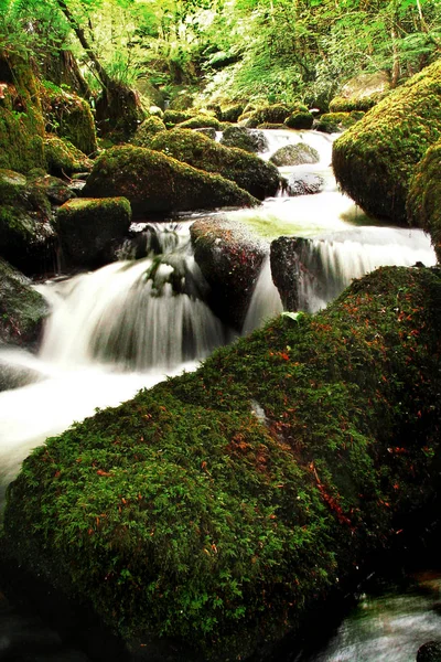 Kenniveil woods, Truro, Cornwall, İngiltere'de çalışan bir Stream uzun pozlama