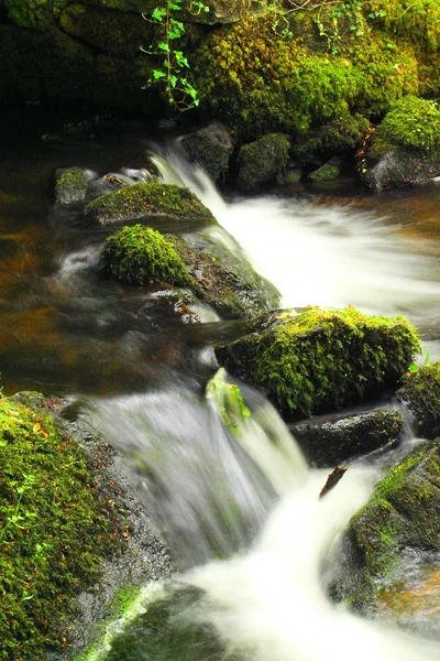 Una Larga Exposición Flujo Corriente Kenniveil Woods Truro Cornwall Inglaterra —  Fotos de Stock