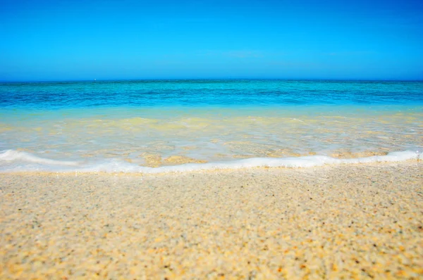 Nazik bir dalga güzel sıcak kumları kadar güneşli yaz gününde tırmanıyor.