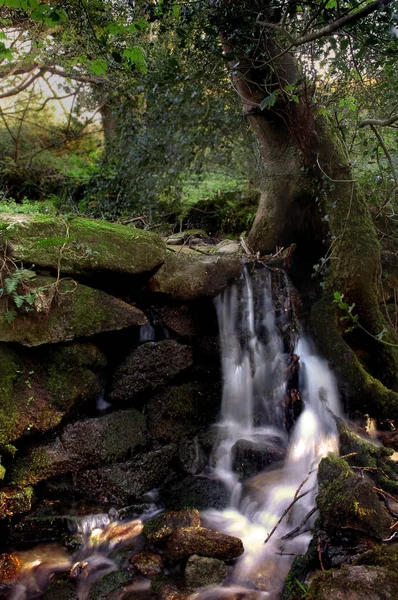 Невеликий Струмок Проходять Над Стіни Kennivail Лісі Cornwall — стокове фото