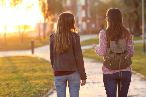 Freunde beim gemeinsamen Spaziergang bei Sonnenuntergang — Stockfoto