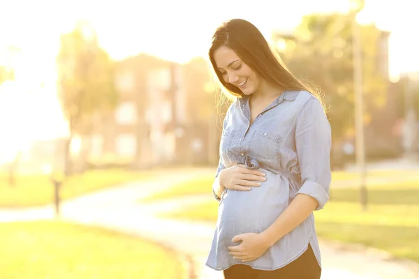 Mujer embarazada mirando su vientre al atardecer — Foto de Stock