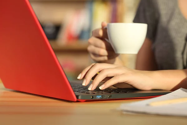 Las manos de la muchacha comprobando en línea con un ordenador portátil en casa —  Fotos de Stock