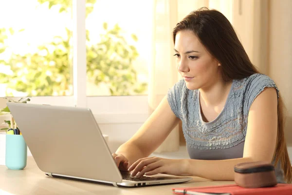 Seriös student att skriva i en laptop — Stockfoto