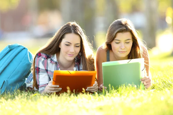 Estudantes concentrados estudando notas de leitura — Fotografia de Stock