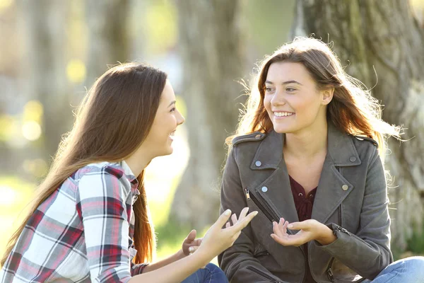 Два друга разговаривают и смеются в парке — стоковое фото