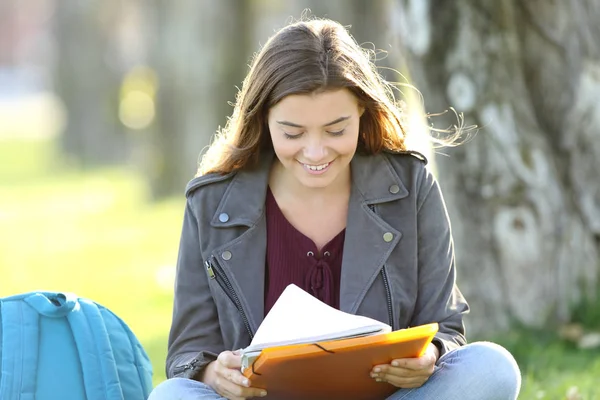 Enskild student tjej studerar läsning anteckningar — Stockfoto
