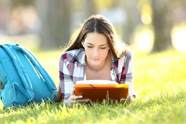 Ezberleme notları öğrenme öğrenci konsantre