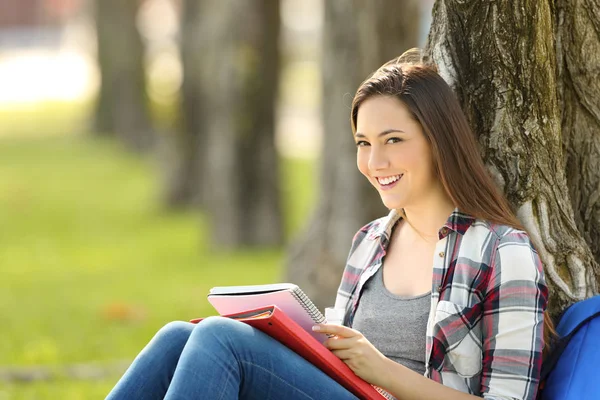 Satisfied student posing looking at you — Stock Photo, Image