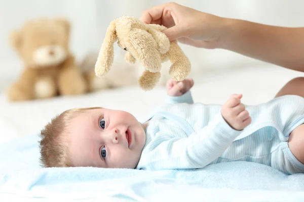 Hand holding teddy and baby looking at you — Stock Photo, Image