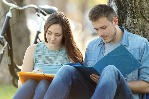 Par som studerar tillsammans utanför — Stockfoto