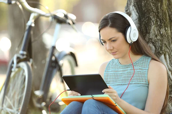 Aprendizaje electrónico de los estudiantes con tabletas y auriculares —  Fotos de Stock