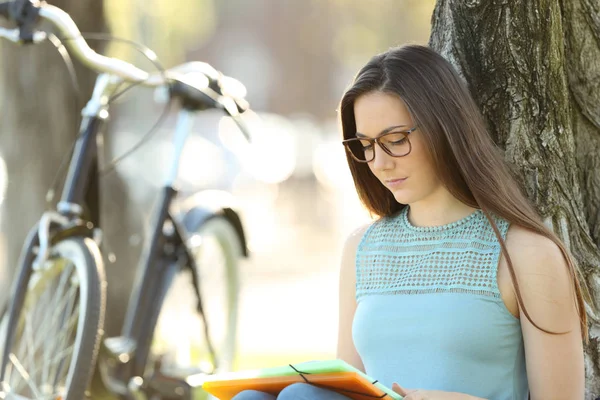 Student studeert dragen brillen — Stockfoto