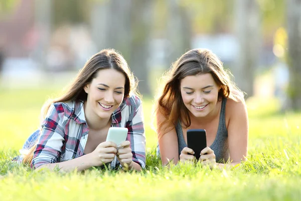 Dos amigos usando sus teléfonos inteligentes en la hierba —  Fotos de Stock