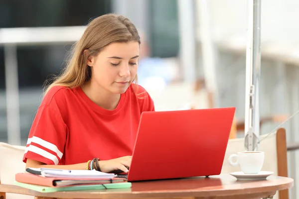 Estudante sério e-learning on-line em um bar — Fotografia de Stock