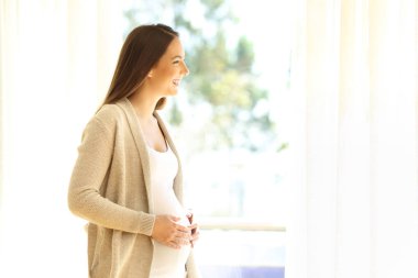 Hamile bayan bir pencereden arıyorum