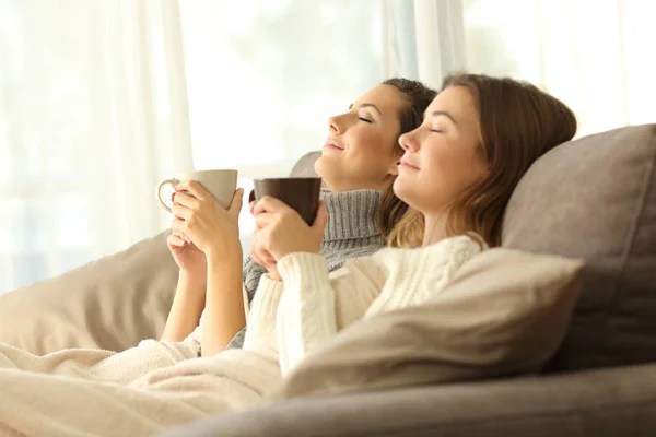 Ontspannen kamergenoten in de winter thuis — Stockfoto