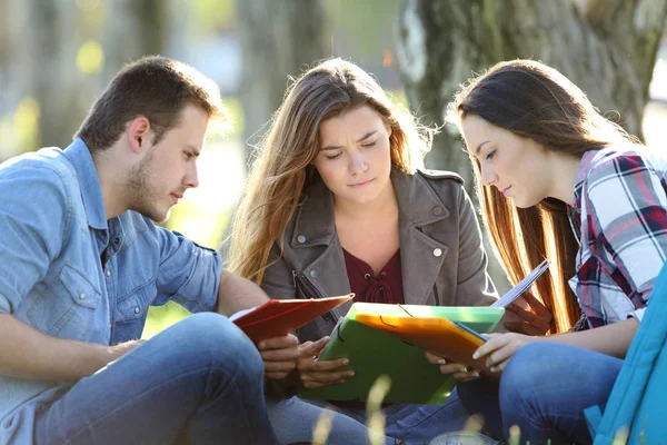 Studentengruppe, die in einem Park studiert — Stockfoto