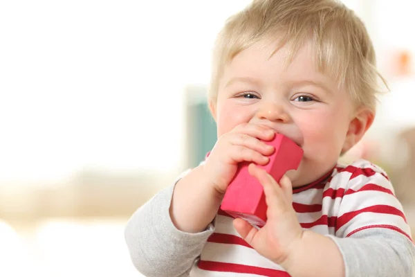 Bebê alegre mordendo um brinquedo e olhando para você — Fotografia de Stock