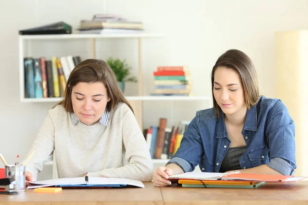 Dwóch studentów studiujących razem w domu — Zdjęcie stockowe
