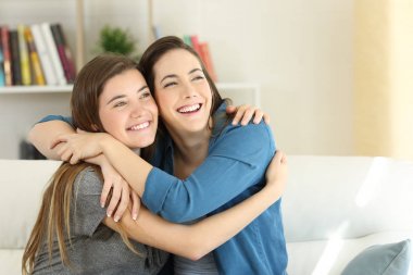 Two happy friends or sisters hugging at home clipart