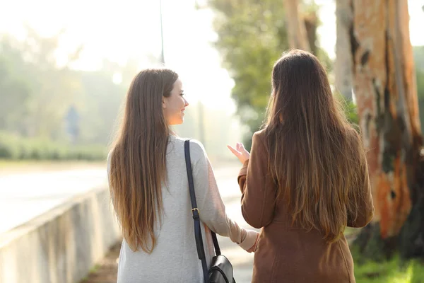 Vue arrière de deux femmes marchant et parlant dans un parc — Photo