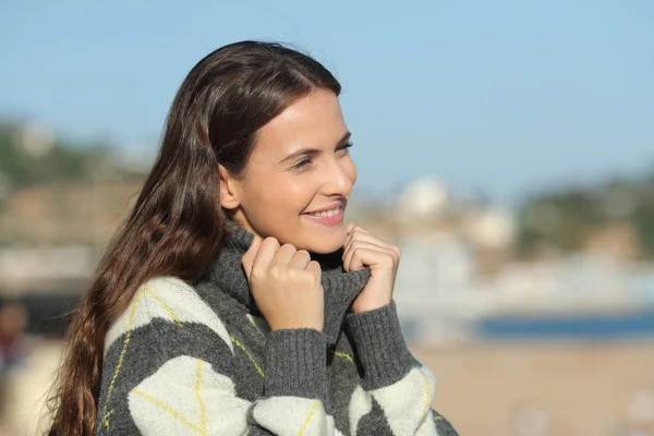Lycklig kvinna bär tröja överväger utsikt — Stockfoto