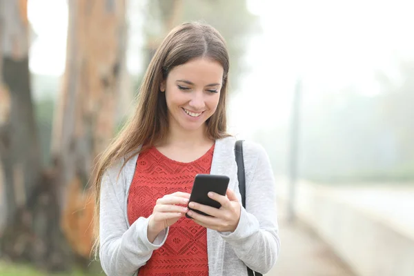 Mutlu kadın sisli bir günde parkta yürürken akıllı telefon kullanıyor. — Stok fotoğraf