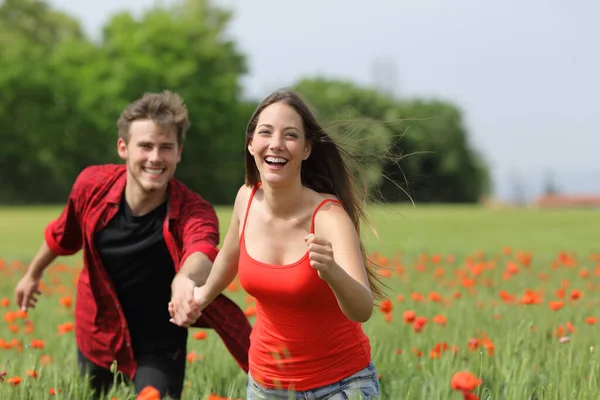 Happy Couple Running Flirting Grass Green Poppy Field Spring — Stock Photo, Image