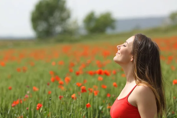Profile Satisfied Woman Breathing Fresh Air Green Poppy Field Spring — Stock Photo, Image