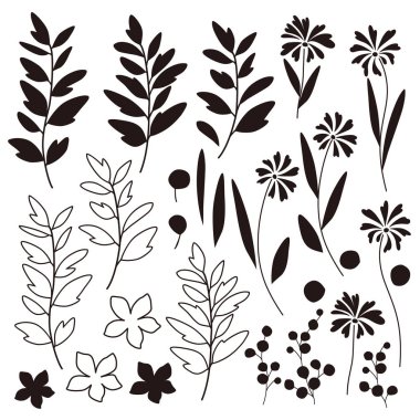 Yaprak çizim nesnesi