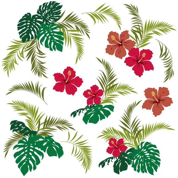 Tropical plant Illustration — Stock Vector