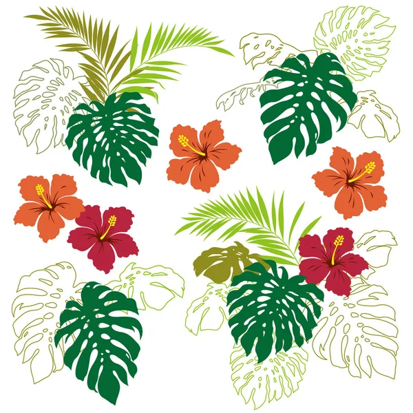 Plante tropicale Illustration — Image vectorielle