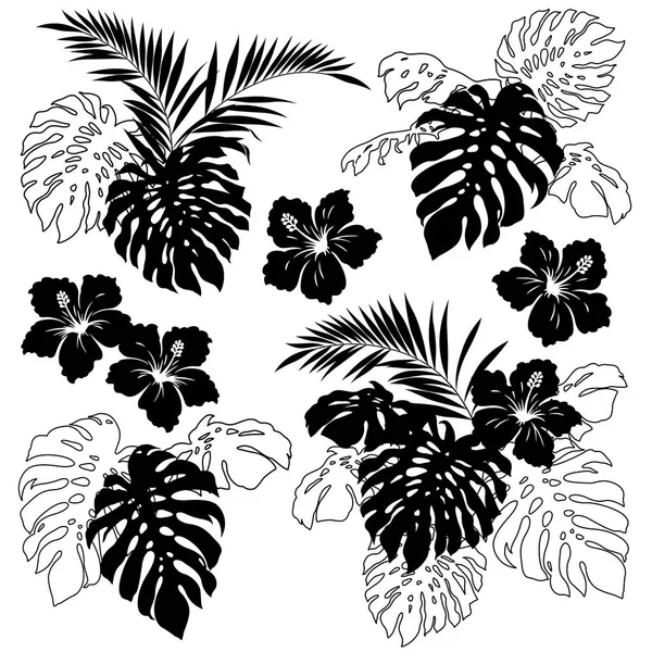 Planta tropical Ilustración — Vector de stock