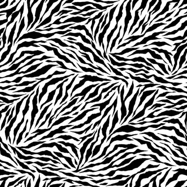 Zebra desen illüstrasyon