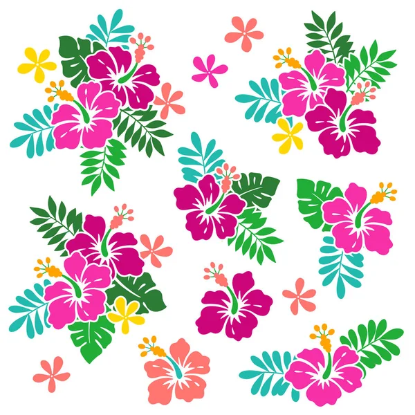Illustration Fleur d'Hibiscus — Image vectorielle