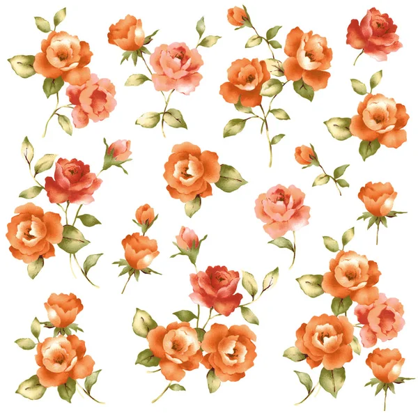Rose objeto de ilustración —  Fotos de Stock