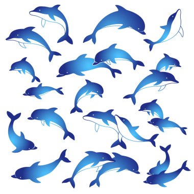 Güzel yunus illüstrasyon